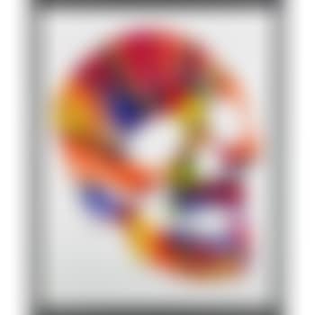 Skull Spin Painting (Created at Damien Hirst Spin Workshop) (preview)