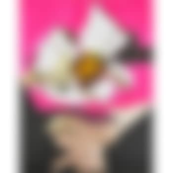 Orchid Mouth (preview)