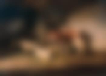Cattle and sheep in a byre (preview)