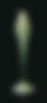 A Floriform vase (preview)