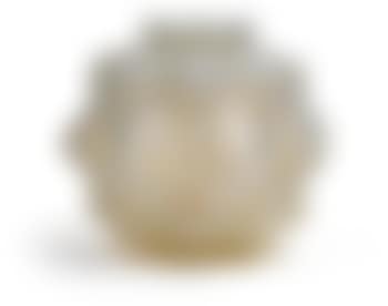 A vase 'Champagne' (preview)