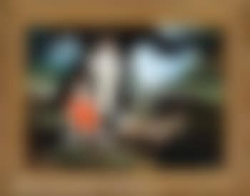 Catch a fish today (preview)