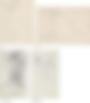 [Untitled] (preview)