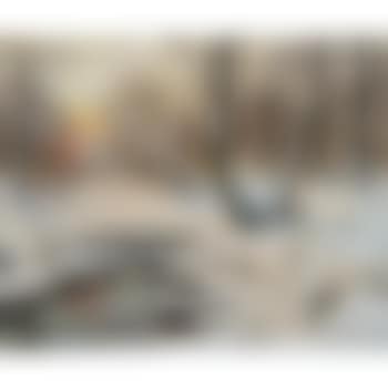 Woodland stream, winter (preview)