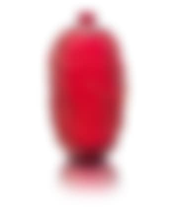 Ronces a Vase (preview)
