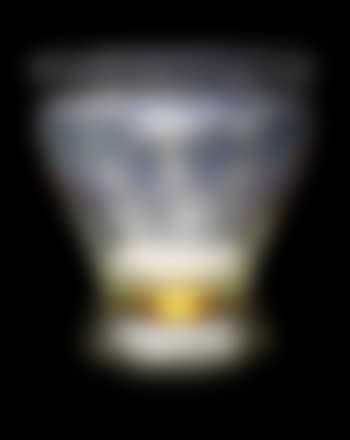 Rennes a Vase (preview)