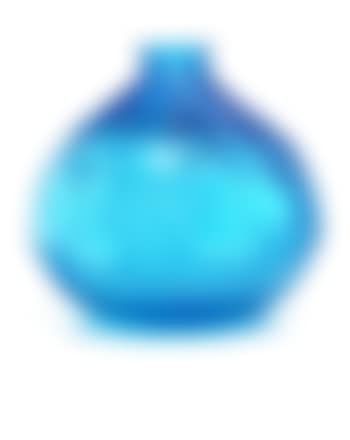 Courges a Vase (preview)