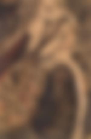 O.T. (preview)