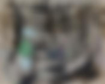 O.T. (preview)