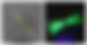 Senza titolo 1993 (preview)