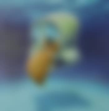 Intervallo (preview)