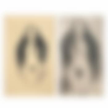 1) Desnudo de Dolores Olmedo; 2) Desnudo de Dolores Olmedo (preview)