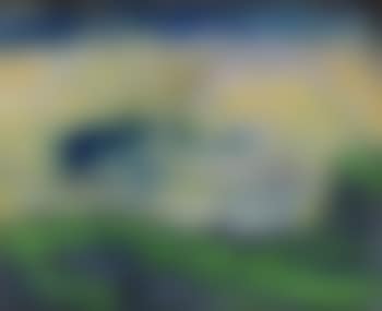 Grüne Küstenlandschaft mit Dampfer (preview)