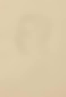 Portrait de Jean Arp (preview)