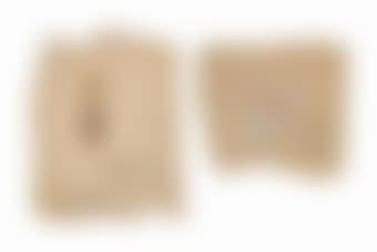 Scriptor stellarum. Libellule (preview)