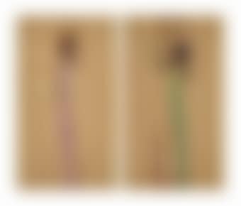 Les belles au bois (preview)