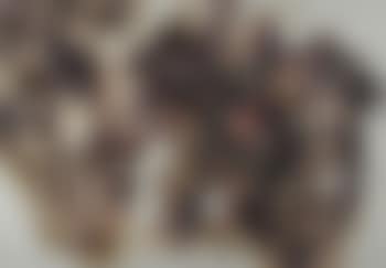 Figure e volti (preview)