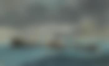 The S.S. Exeter city at sea (preview)