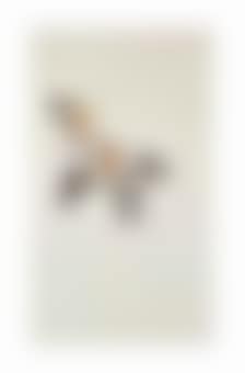 Goat (preview)