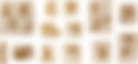 SIXTEEN SHEETS WITH STUDIES OF HORSES (preview)