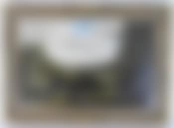 Sportsman standing in woodland with an extensive landscape beyond (preview)