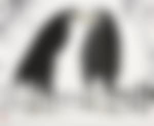 Two Birds (preview)
