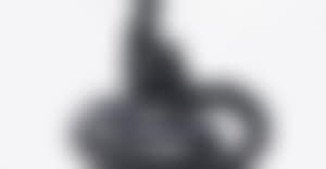 Bird (preview)