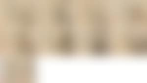 Landscape album (preview)