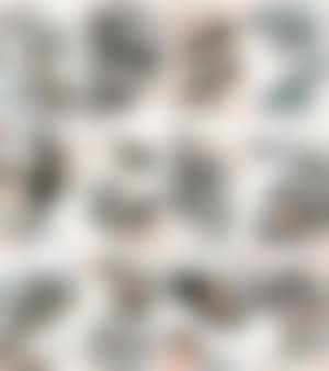Landscape (preview)