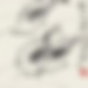 Ink Shrimps (preview)