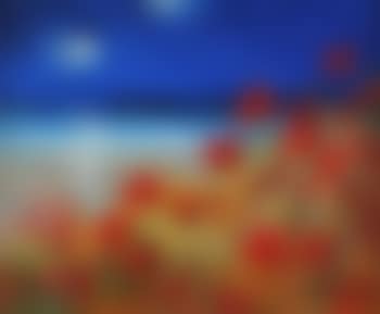 Moonlit poppies (preview)