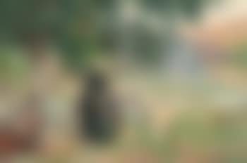 Pastoral landscape with sheep and shepherdess (preview)