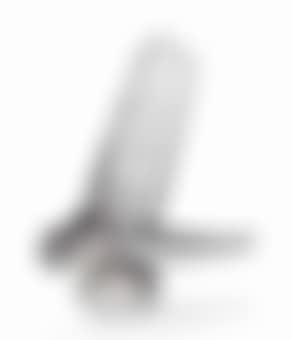 A Grande Libellule Car Mascot (preview)