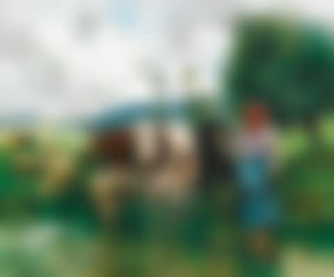 LA BERG�RE (preview)