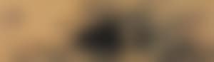 Landscape (preview)