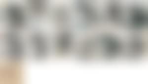 Landscape Album (preview)