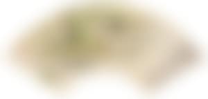 Landscape (preview)