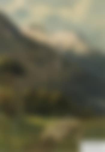 Schäfer mit Herde vor Sonnenbeschienenem Gebirgsmassiv (preview)