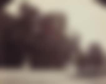 St. Cloud, 1922 (preview)