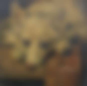 Portrait of Scamp (preview)