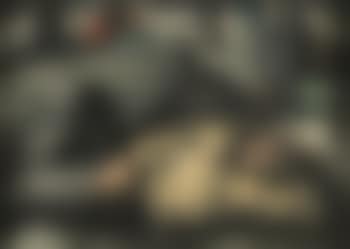 Mousse endormi (preview)