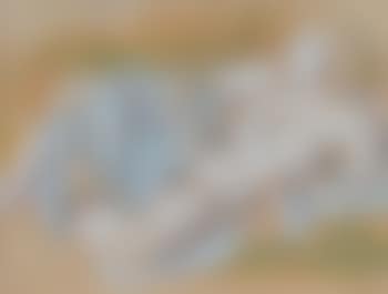 Liegender Frauenakt (preview)