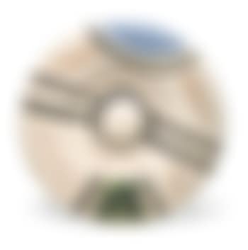 Grand Plat À Décor Géométrique (preview)