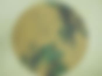 A Landscape (preview)