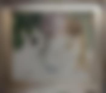 Woman with Dogs (preview)