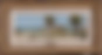 Palms at Ponce Park, Florida (preview)