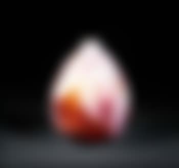 Vase (preview)