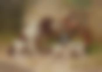 Hounds guarding dead pheasants (preview)