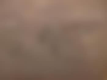 Landscape with trees and farm buildings, North Wales (preview)