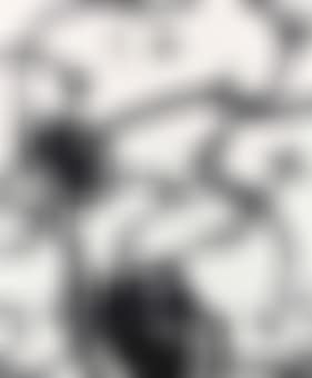 Untitled (MBFG4) (preview)